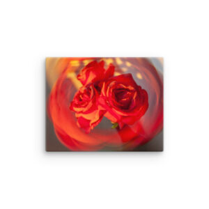 Roses in motion (canvas)