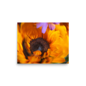 Sunflower in motion (print)