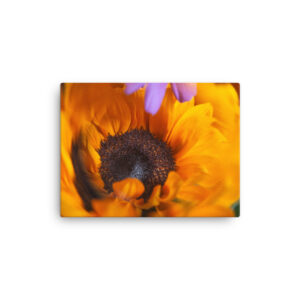 Sunflower in motion (canvas)