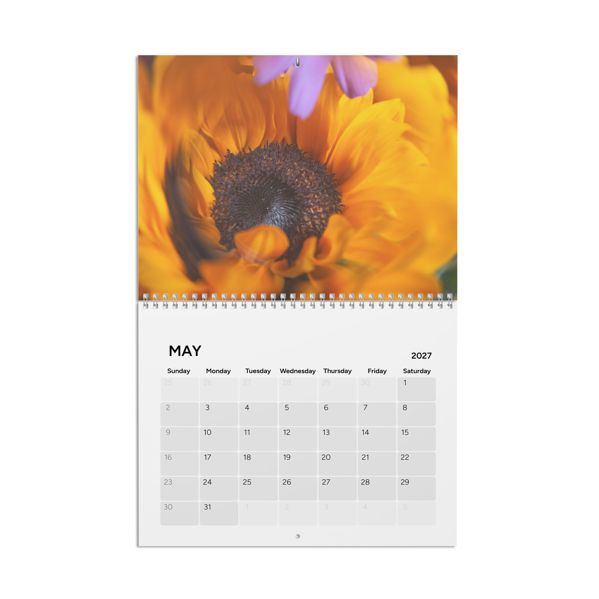 Surreal Calendar 2027 - Image 5