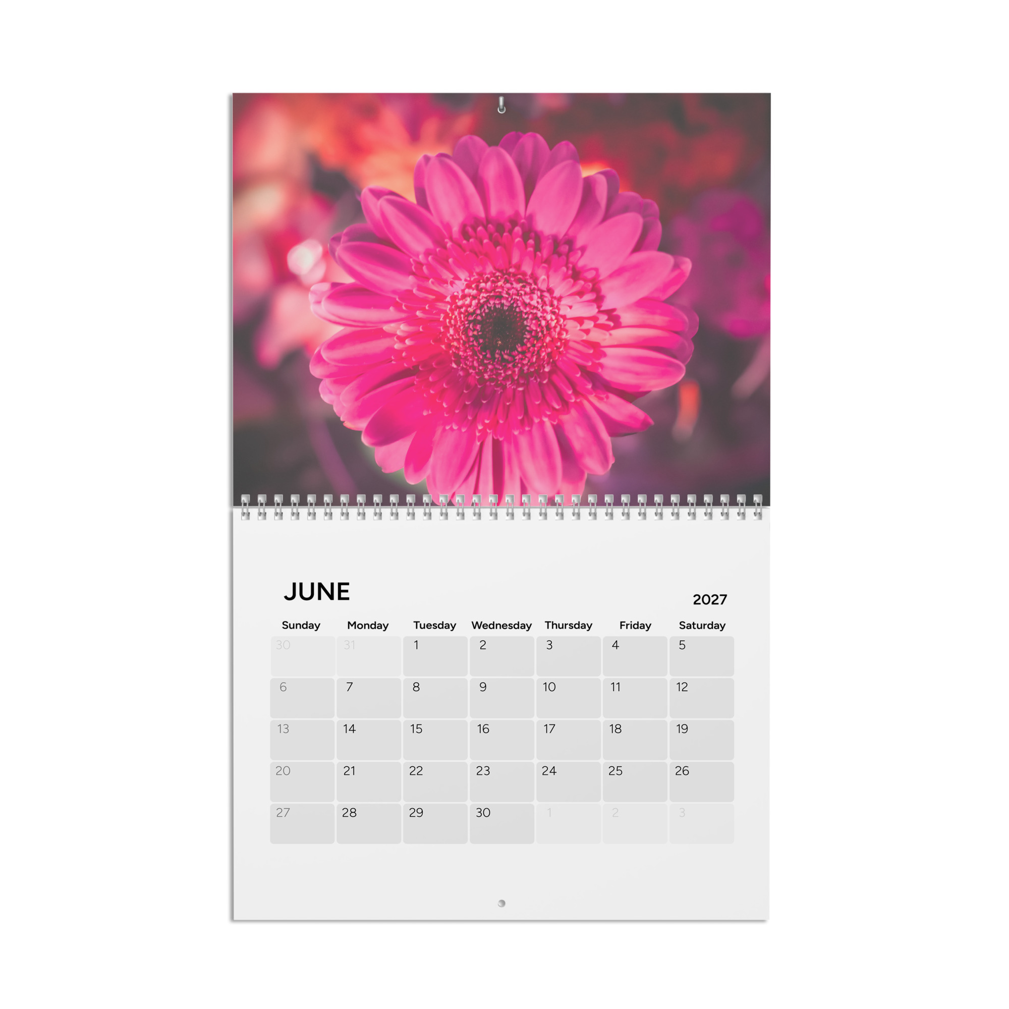 Surreal Calendar 2027 - Image 6