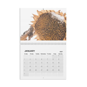 2027 Calendar