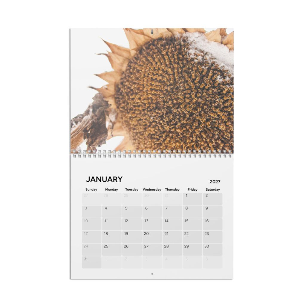 2027 Calendar